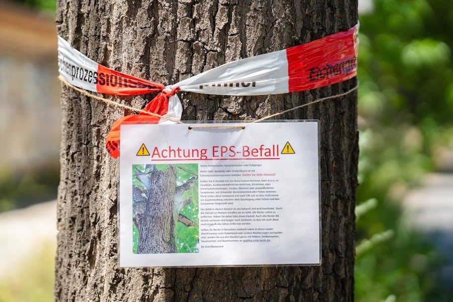 Baumgutachten und Baumkontrolle – Hinweisschild EPS-Befall